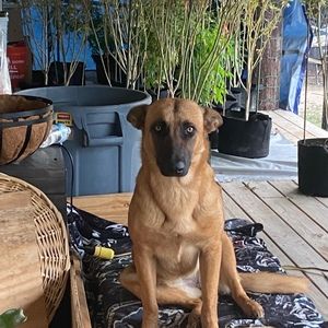 Meet your Posher, Gracie